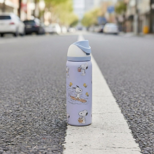 Insulated Water Bottle, Stainless Steel Reusable Bottle